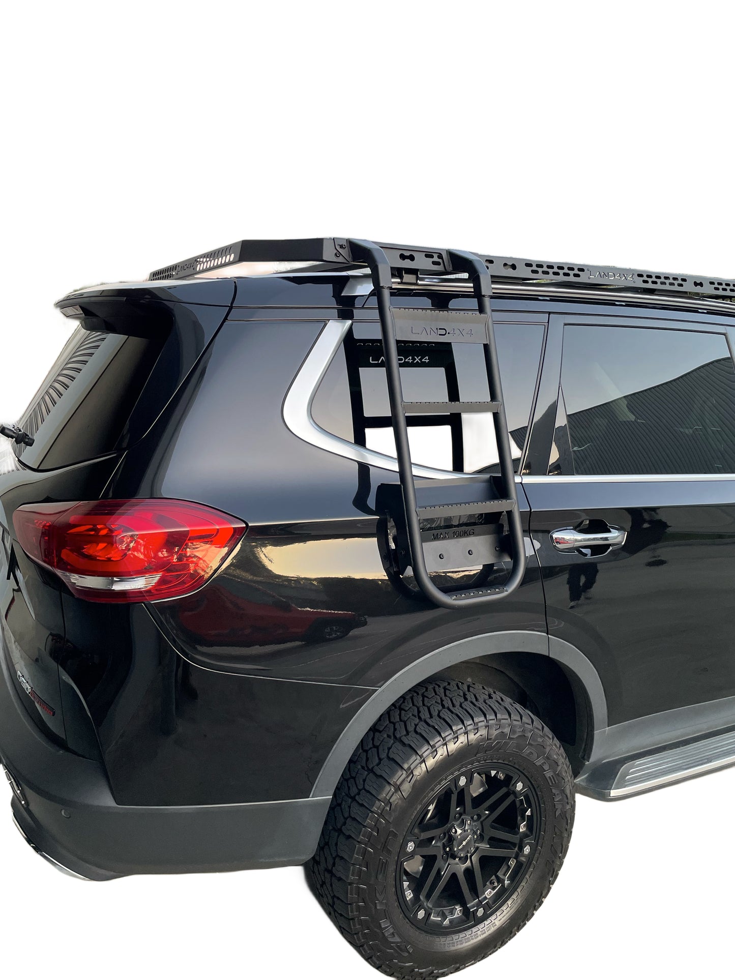 LDV D90 Side Ladder